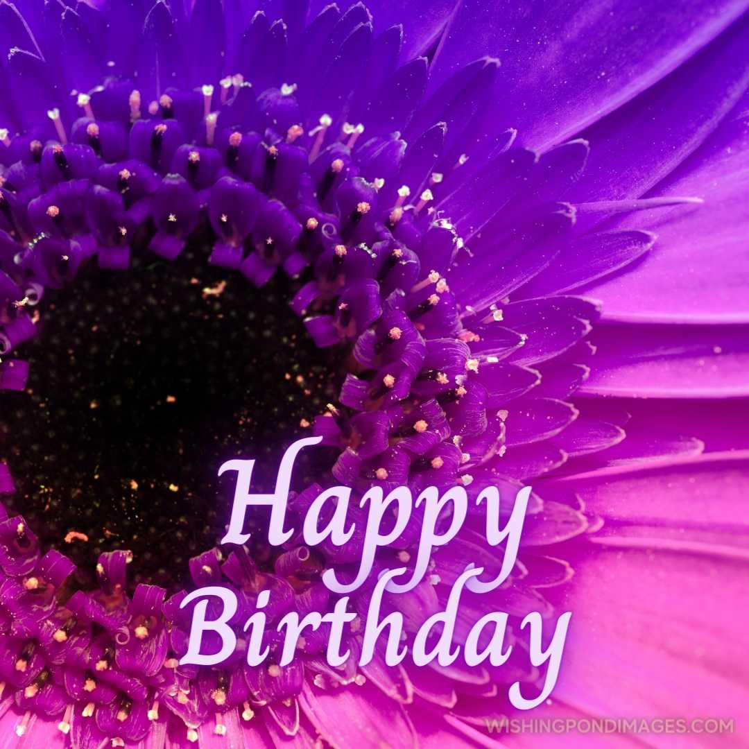 Close-up image of a purple flower. Happy Birthday Purple Flower Images